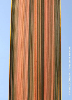 lin-de-nouvelle-zelande-pink-panther-phormium-pink-panther.jpg