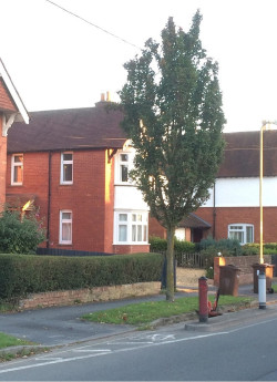 ACER WILLIAM CALDWELL